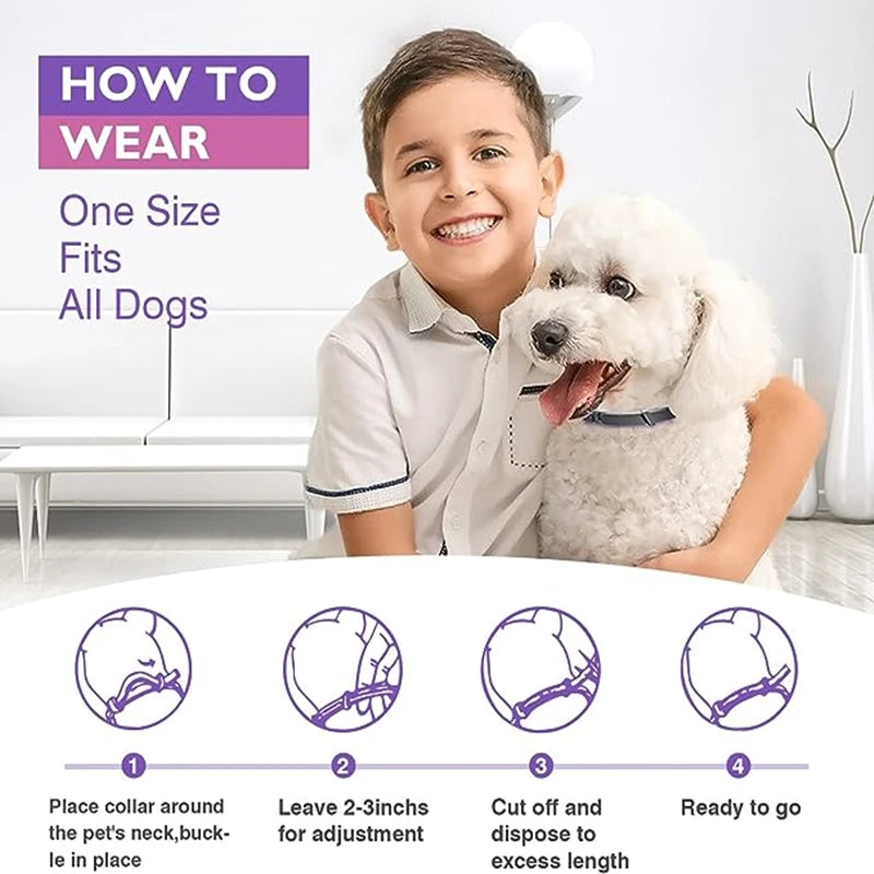 3/4 Pack Adjustable Calming Pheromone Collars for Dogs & Cats – Anxiety & Stress Relief 3/4 Pack Adjustable Calming Pheromone Collars for Dogs & Cats – Anxiety & Stress Relief