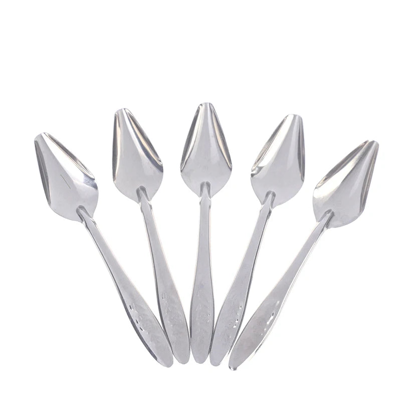 Baby Bird Feeding Spoons – Stainless Steel Milk & Medicine Feeder for Parrots Baby Bird Feeding Spoons – Stainless Steel Milk & Medicine Feeder for Parrots