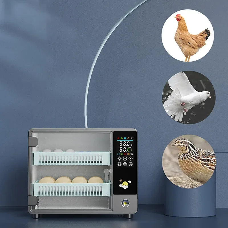 24 Egg Automatic Incubator with Digital Temperature Control for Poultry and Birds 24 Egg Automatic Incubator with Digital Temperature Control for Poultry and Birds