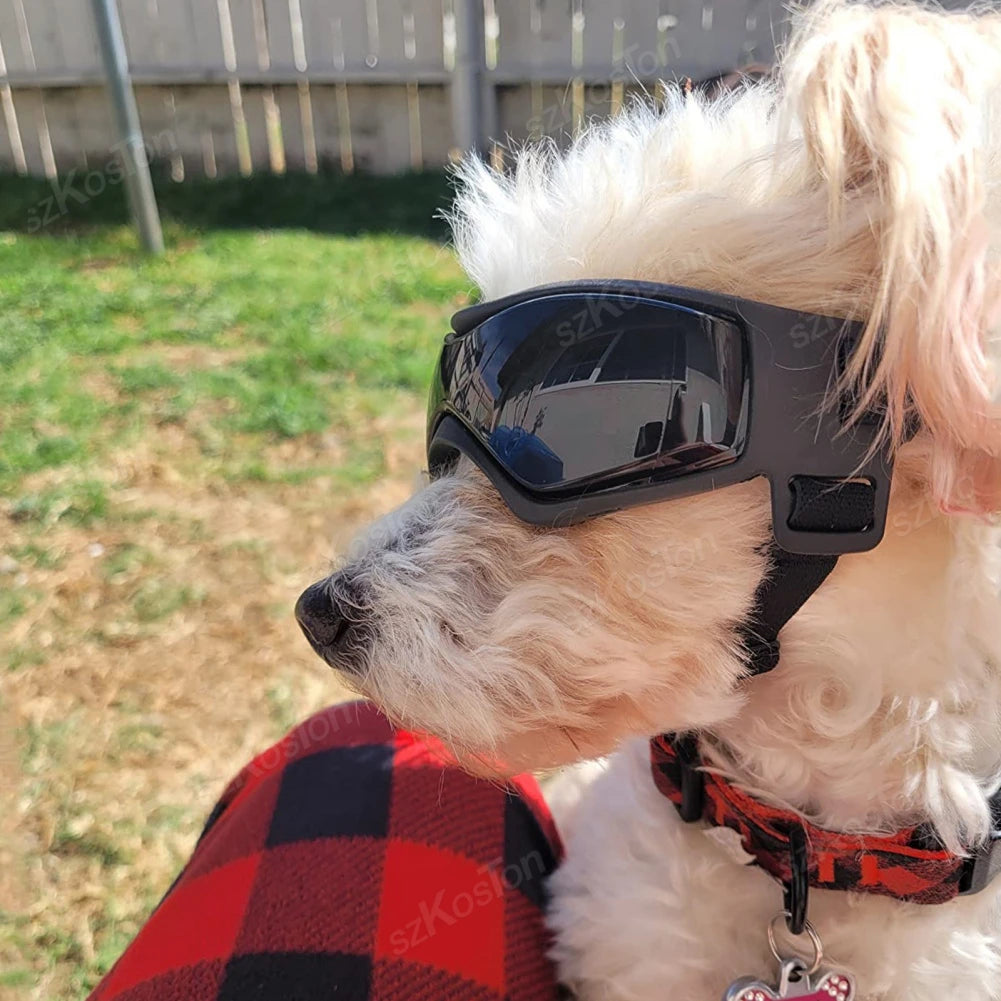 Adjustable Dog Goggles – UV Protection Sunglasses for Small & Medium Breed Dogs Adjustable Dog Goggles – UV Protection Sunglasses for Small & Medium Breed Dogs
