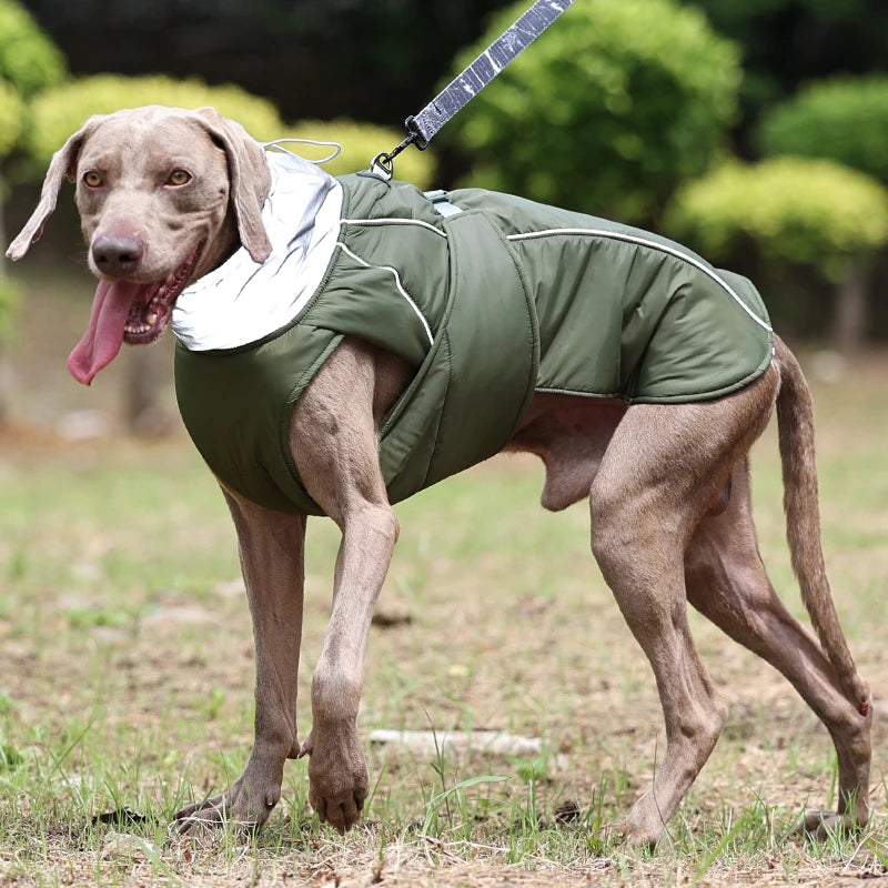 Luxury Winter Dog Jacket, Waterproof Padded Warm Coat with Reflective Safety Luxury Winter Dog Jacket, Waterproof Padded Warm Coat with Reflective Safety