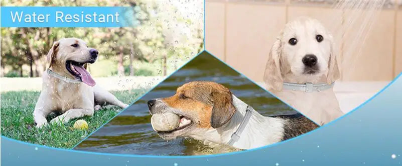 3/4 Pack Adjustable Calming Pheromone Collars for Dogs & Cats – Anxiety & Stress Relief 3/4 Pack Adjustable Calming Pheromone Collars for Dogs & Cats – Anxiety & Stress Relief