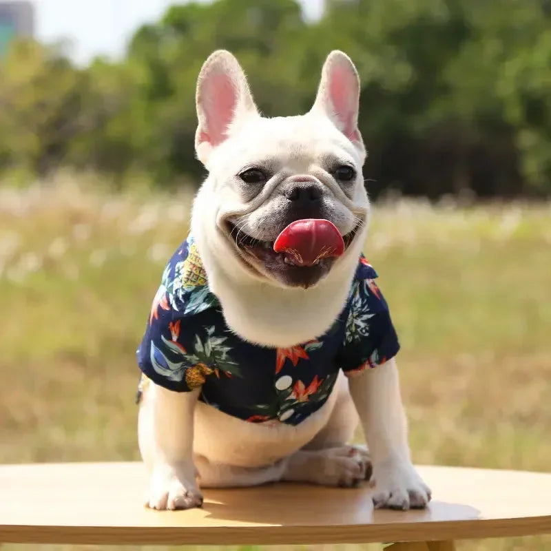 Hawaiian Style Summer Dog Shirt, Beachwear for Small & Medium Dogs, Puppies, and Cats Hawaiian Style Summer Dog Shirt, Beachwear for Small & Medium Dogs, Puppies, and Cats