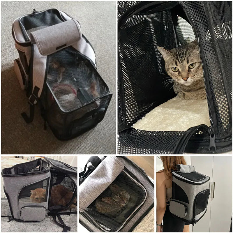 Breathable Foldable Pet Carrier Backpack, Expandable Travel Bag for Cats & Small Dogs Breathable Foldable Pet Carrier Backpack, Expandable Travel Bag for Cats & Small Dogs