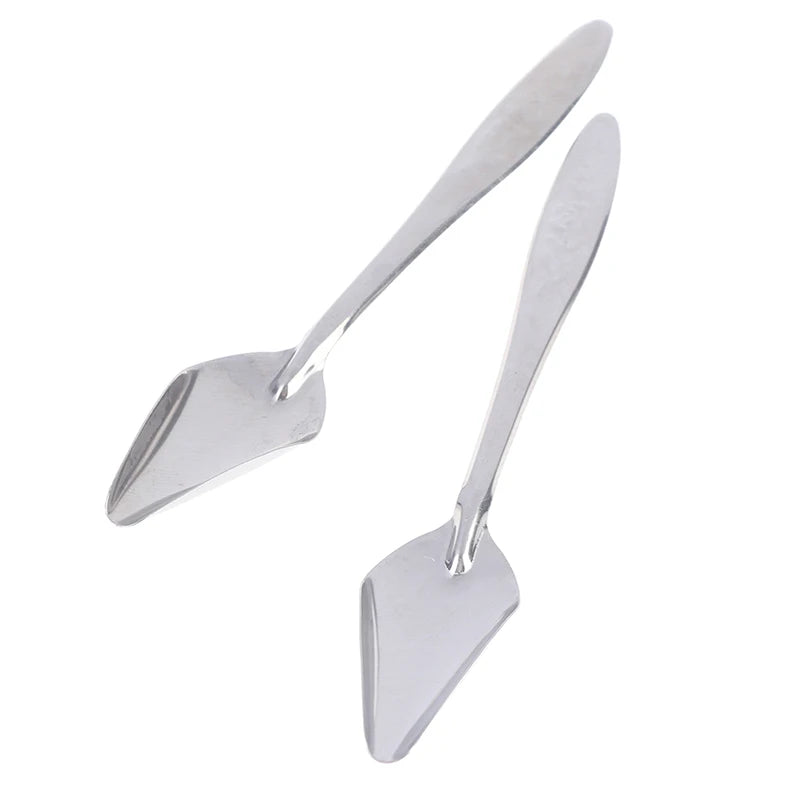 Baby Bird Feeding Spoons – Stainless Steel Milk & Medicine Feeder for Parrots Baby Bird Feeding Spoons – Stainless Steel Milk & Medicine Feeder for Parrots