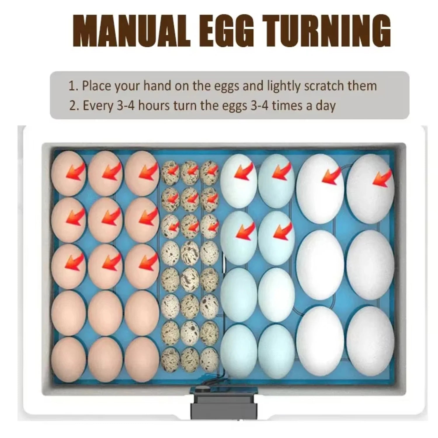 USB Poultry Incubator with Thermostat, Manual Turn, Bionic Waterbed & Egg Candler USB Poultry Incubator with Thermostat, Manual Turn, Bionic Waterbed & Egg Candler