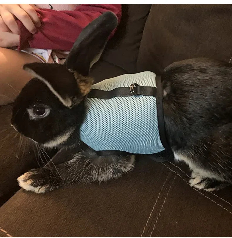 Multi-Color Breathable Vest & Adjustable Harness with Leash for Small Pets Multi-Color Breathable Vest & Adjustable Harness with Leash for Small Pets