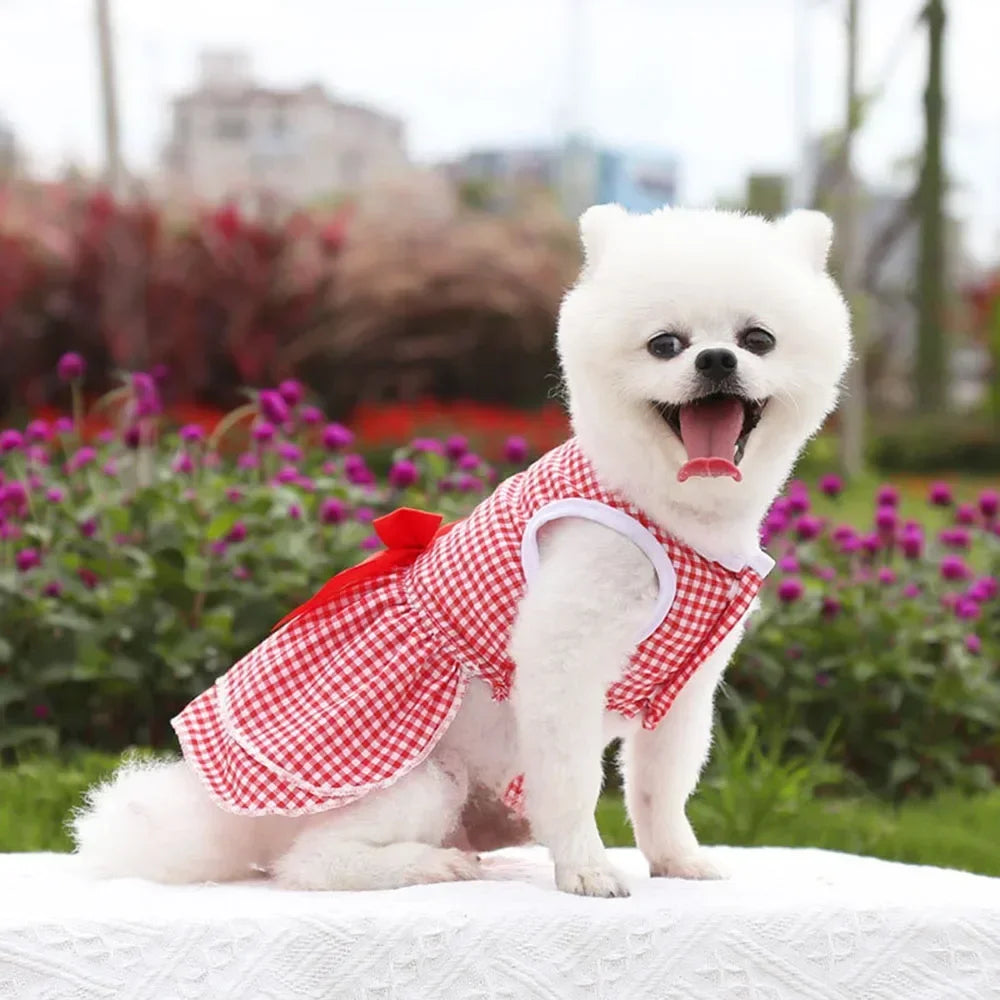 Summer Princess Dog Dress, Tutu Skirt Outfit for Small Dogs, Puppies & Cats Summer Princess Dog Dress, Tutu Skirt Outfit for Small Dogs, Puppies & Cats