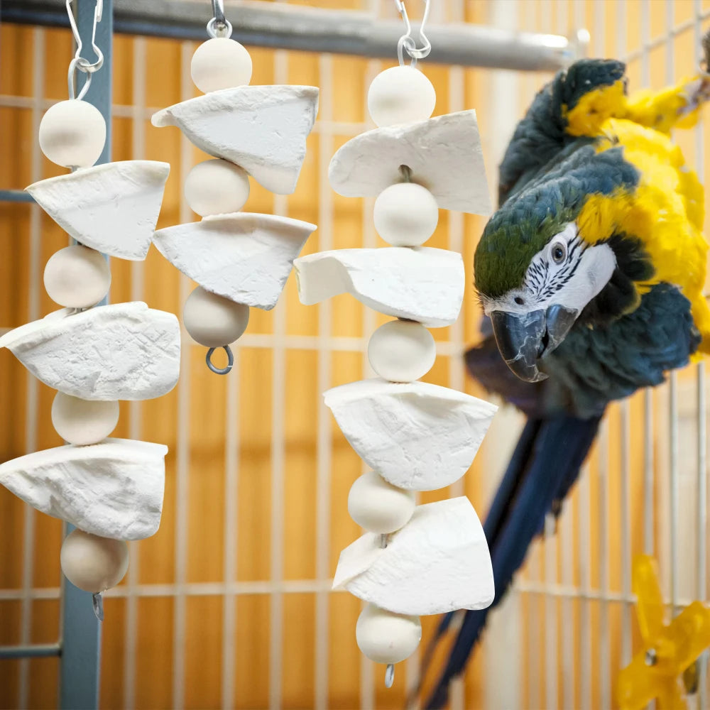 Cuttlefish Bone Hanging Chew Toy — Calcium Supplement & Beak Care for Birds & Small Pets Cuttlefish Bone Hanging Chew Toy — Calcium Supplement & Beak Care for Birds & Small Pets