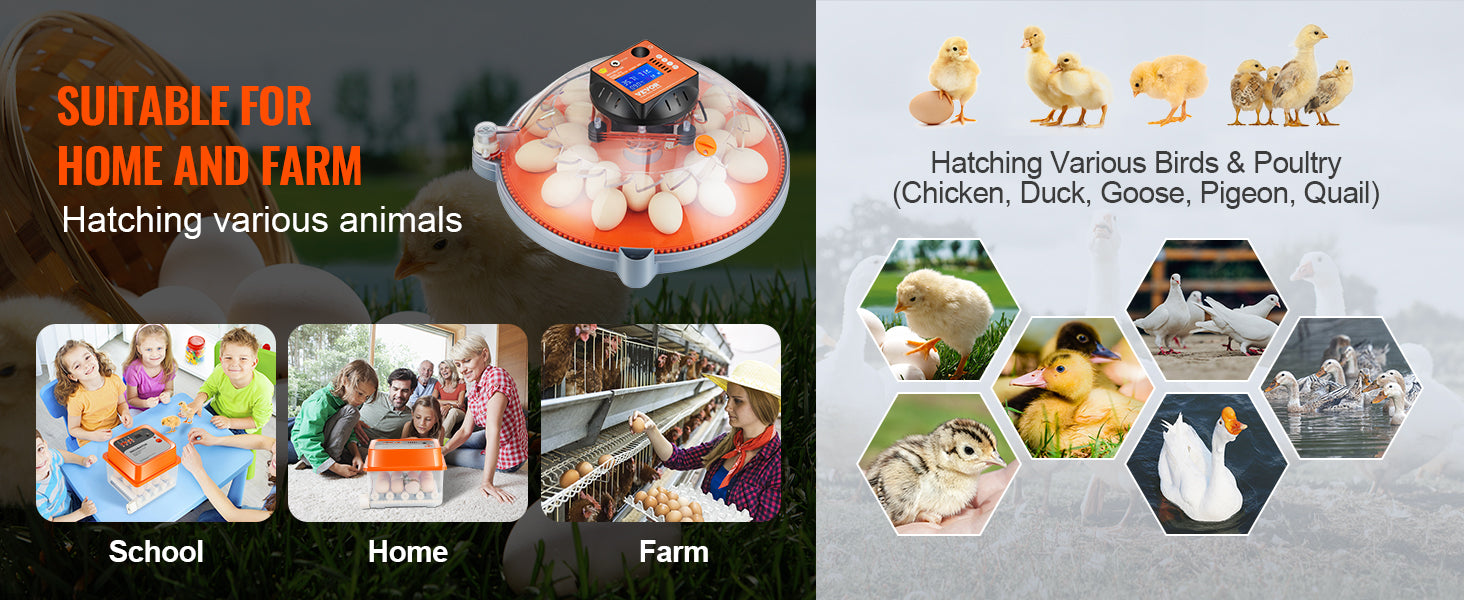 VEVOR 12/24/48 Egg Automatic Poultry Incubator with Temperature & Humidity Control VEVOR 12/24/48 Egg Automatic Poultry Incubator with Temperature & Humidity Control