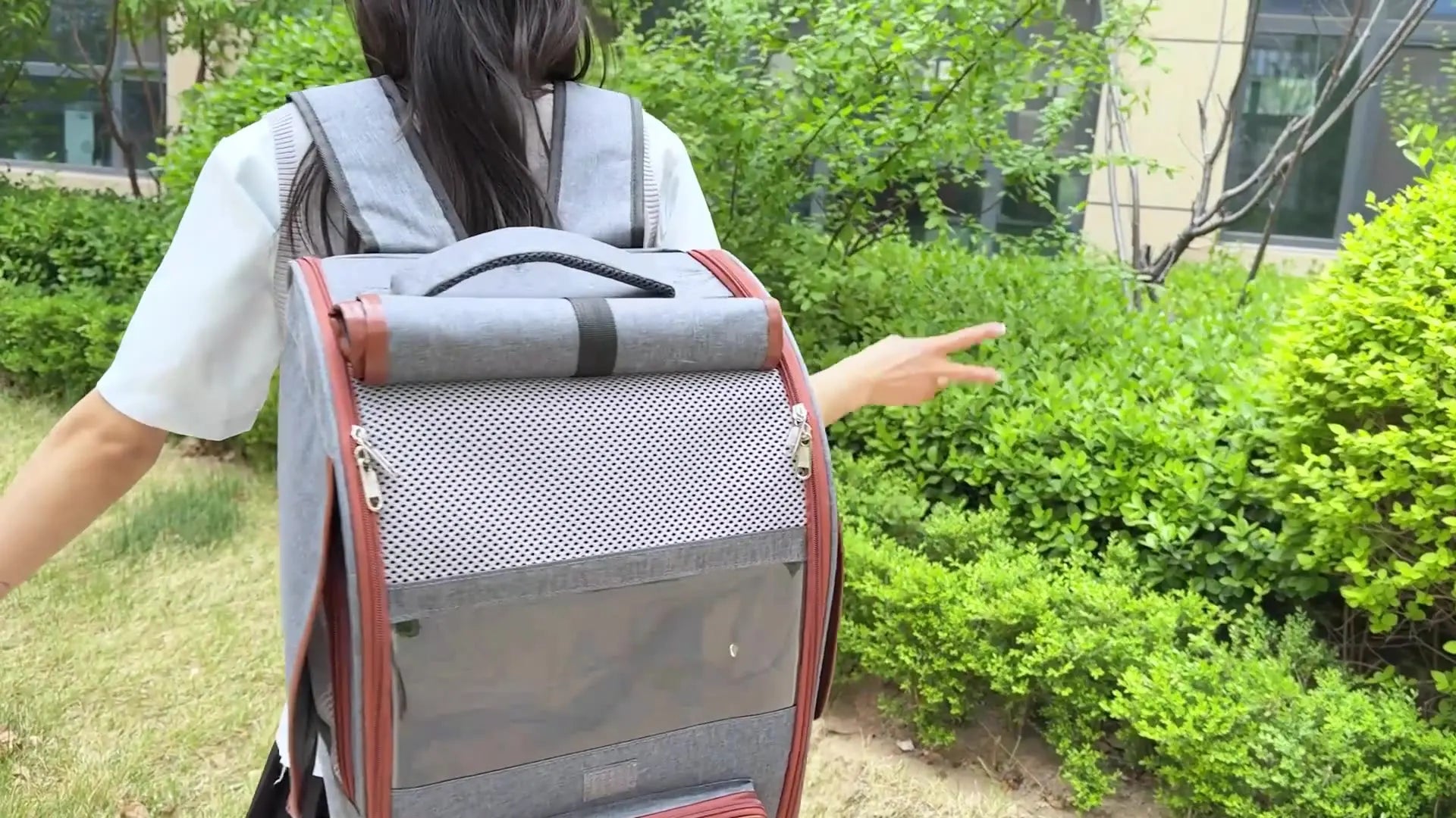 Foldable Double-Shoulder Bird Carriers