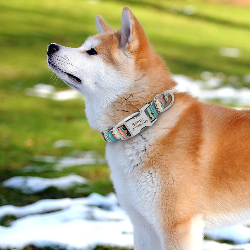 Personalized Nylon Dog Collar with Free Engraved ID Tag