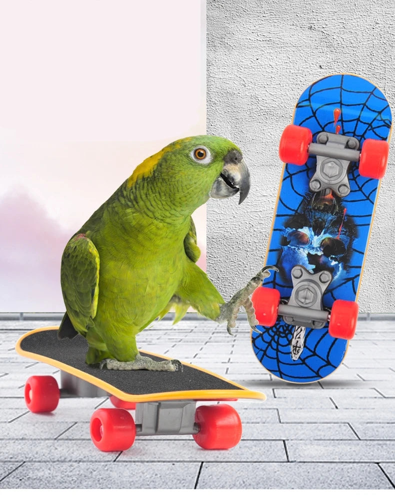 Parrot Training Mini Skateboard — Fun Bird Toy & Perch Accessory