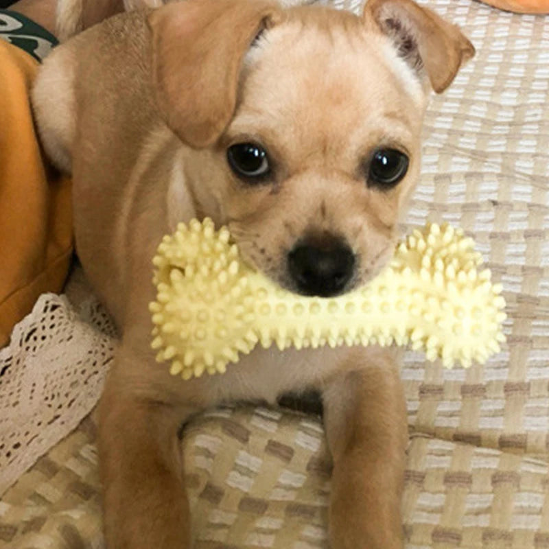 TPR Knot Dog Chew Toy – Teeth Cleaning & Interactive Toy for Small Dogs