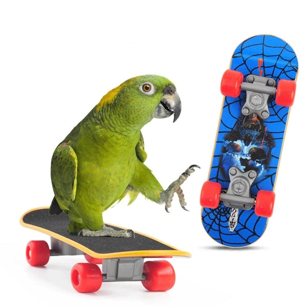 Parrot Training Mini Skateboard — Fun Bird Toy & Perch Accessory