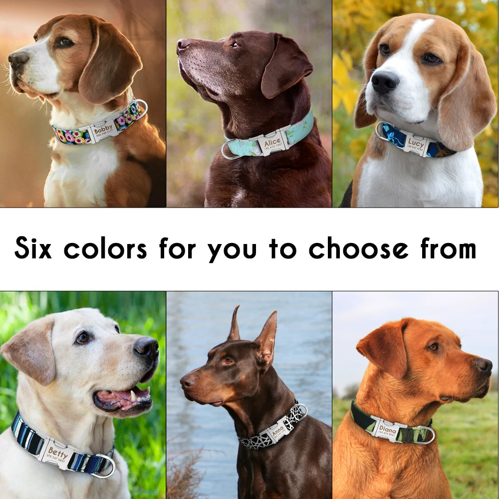 Personalized Nylon Dog Collar with Free Engraved ID Tag
