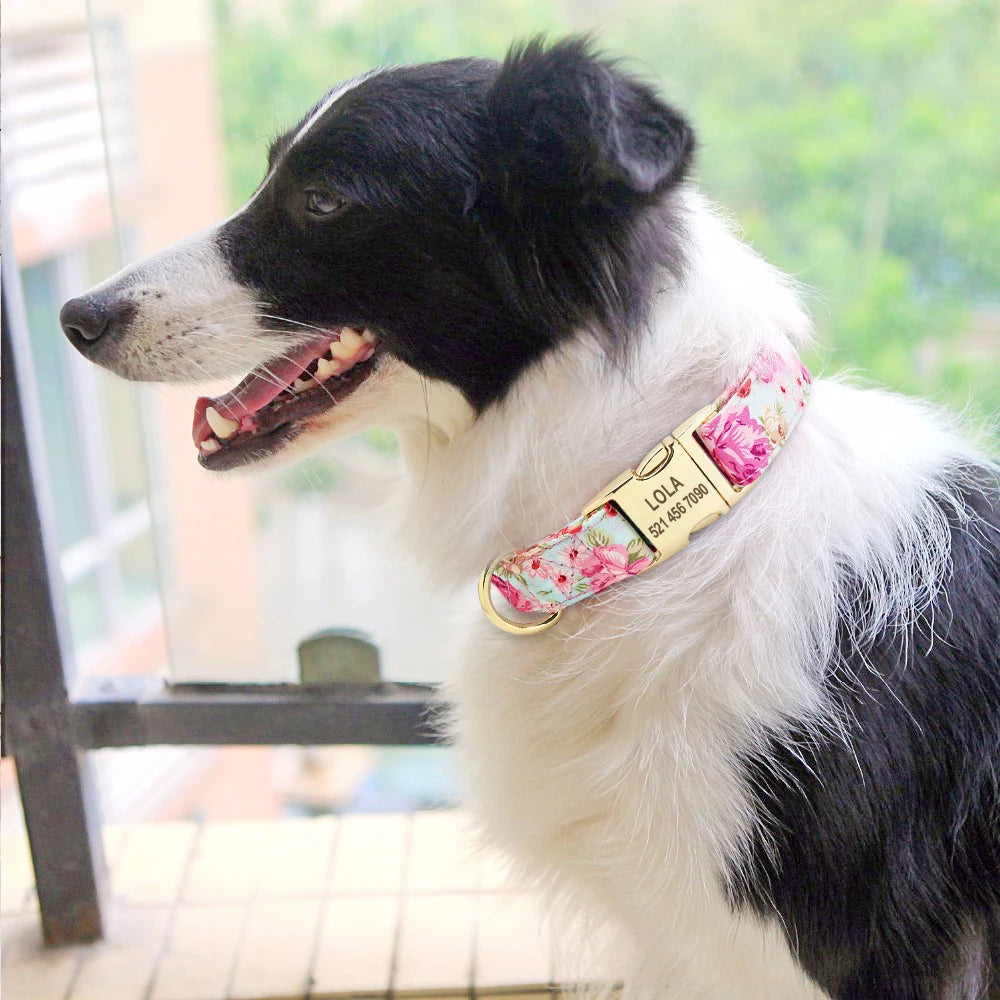 Personalized Nylon Dog Collar with Free Engraved ID Tag
