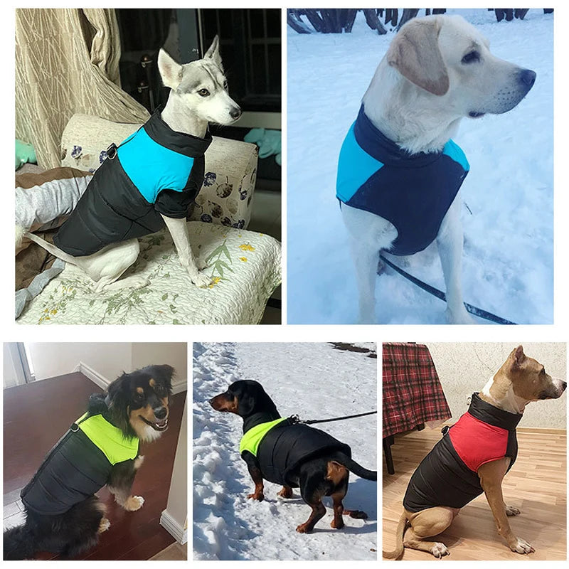Winter Dog Coat, Waterproof Warm Pet Jacket Vest for Small to Large Dogs