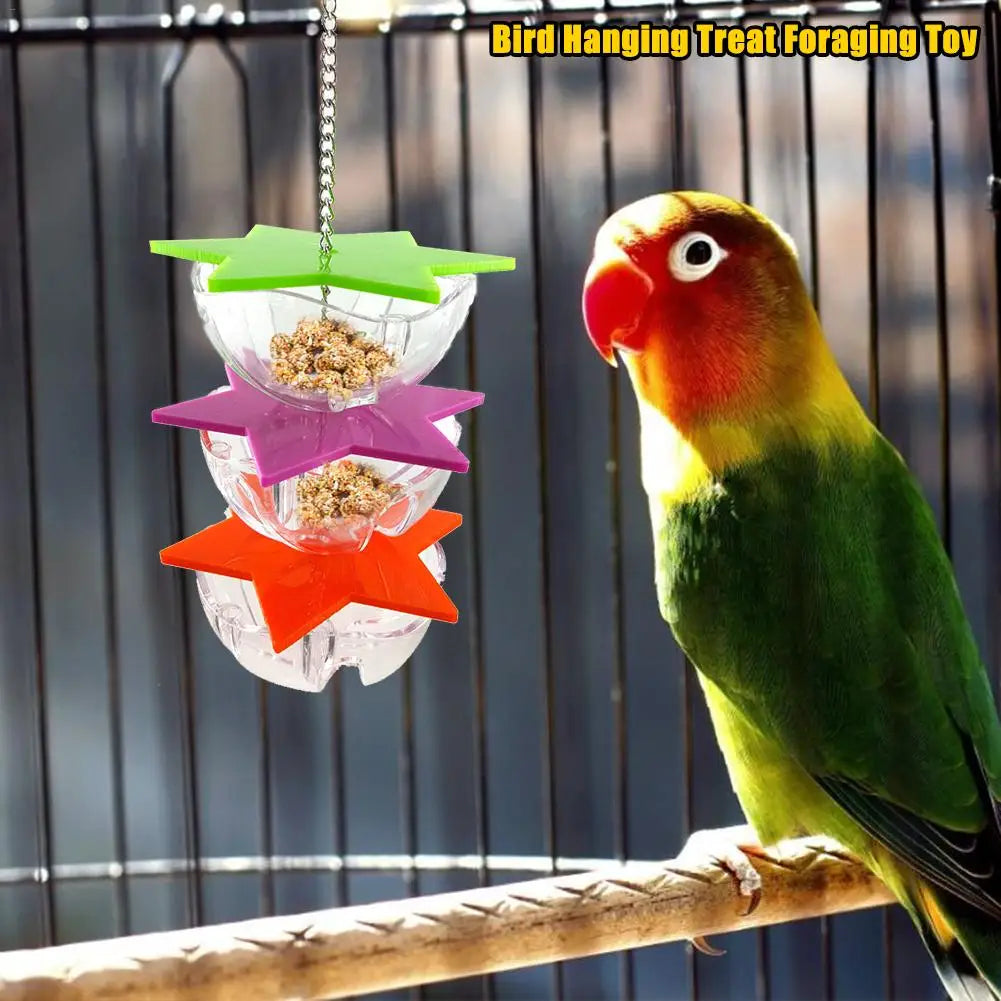 Acrylic Multi-Layer Hexagonal Bird Foraging Toy