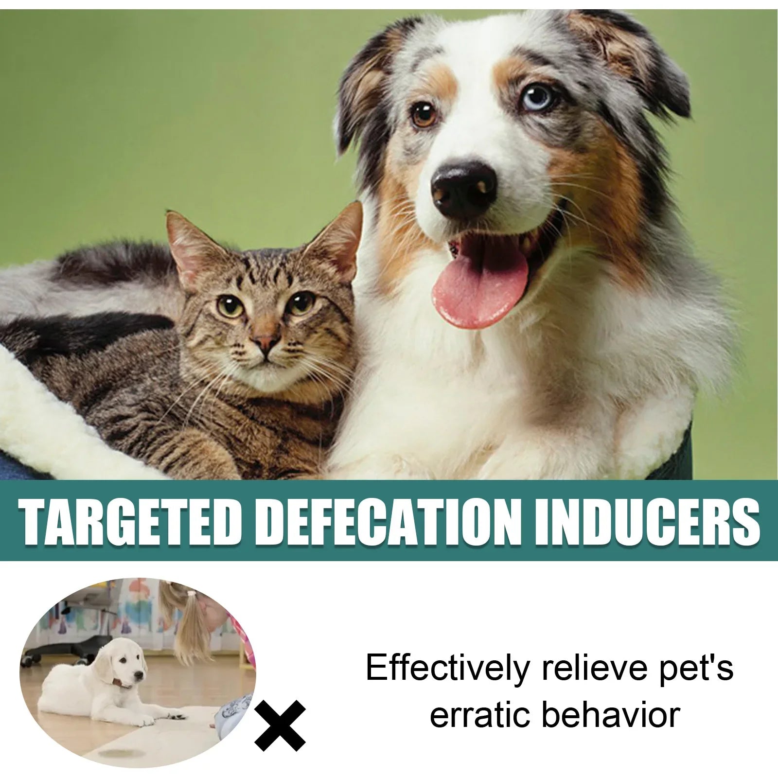 Pet Toilet Training Spray – Indoor Puppy & Cat Potty Training Aid