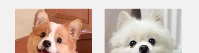 Non-Slip Ramp for Dogs & Cats - 2/3 Step Washable Memory Foam Pet Stairs