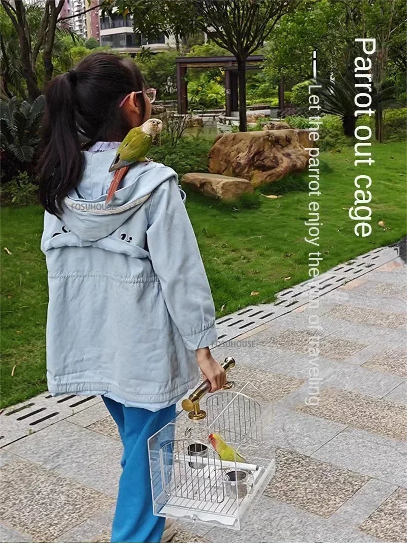 Modern Transparent Acrylic Bird Cage