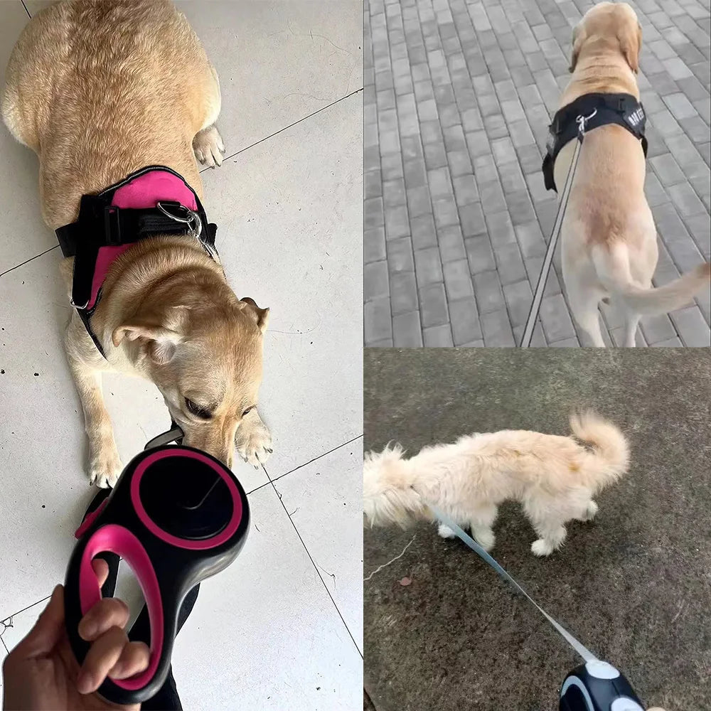 Retractable Dog Leash — Outdoor Hiking Lead for Small & Large Pets