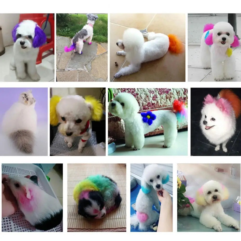 Colorful Non-Fading DIY Hair Color for Dogs & Cats