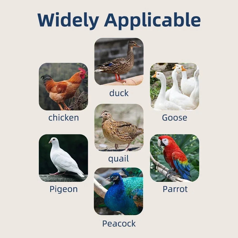 12/15/24 Egg Automatic Poultry Incubator with Waterbed & Temperature Control