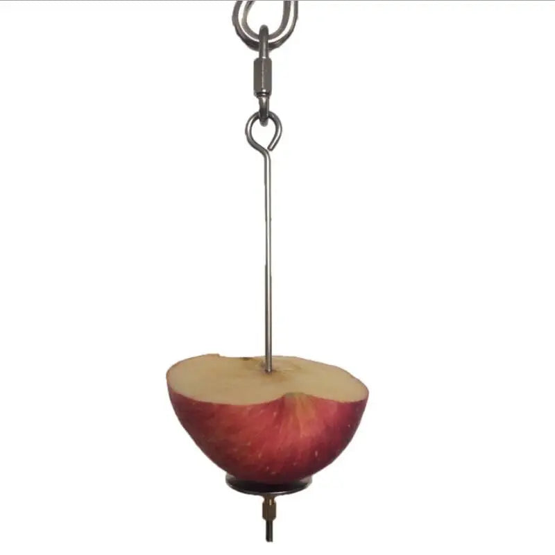 Stainless Steel Bird Fruit Skewer