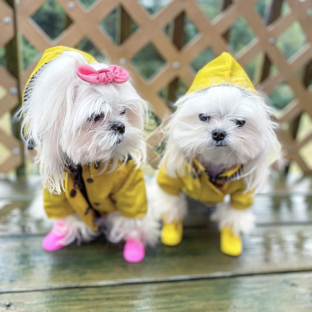 Dog Raincoat with Hood, Reflective Zip-Up Pet Jacket Windbreaker, S-5XL Large Breed