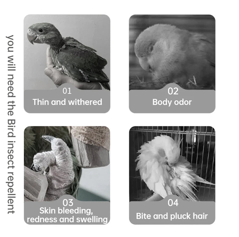 Bird Mite & Lice Spray – Parrot & Cage Insect Repellent