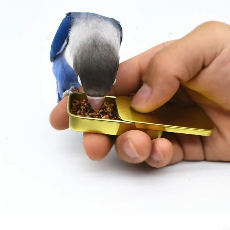 Bird Tabletop Interactive Training Toy — Parrot Intelligence Game