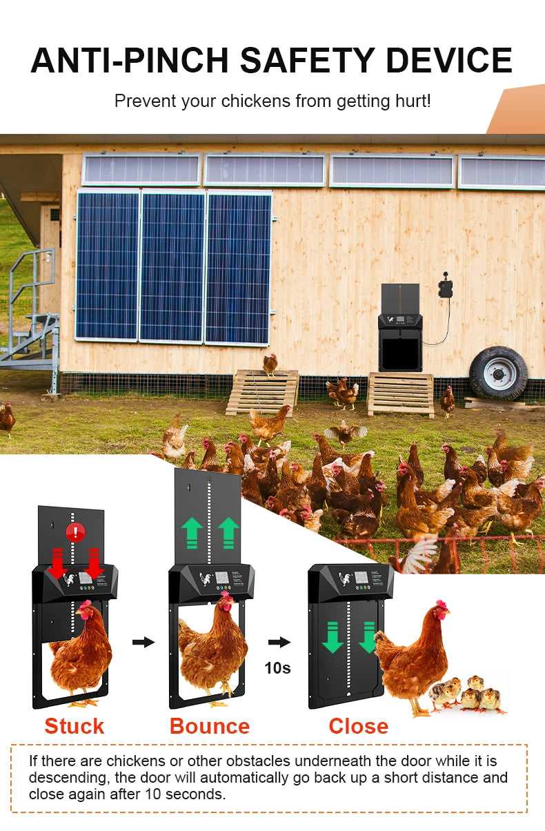 Large Automatic Chicken Coop Door