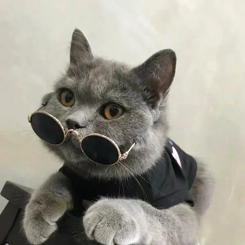 Cute Pet Sunglasses – UV Protection for Small Dogs, Cats & Photo Props