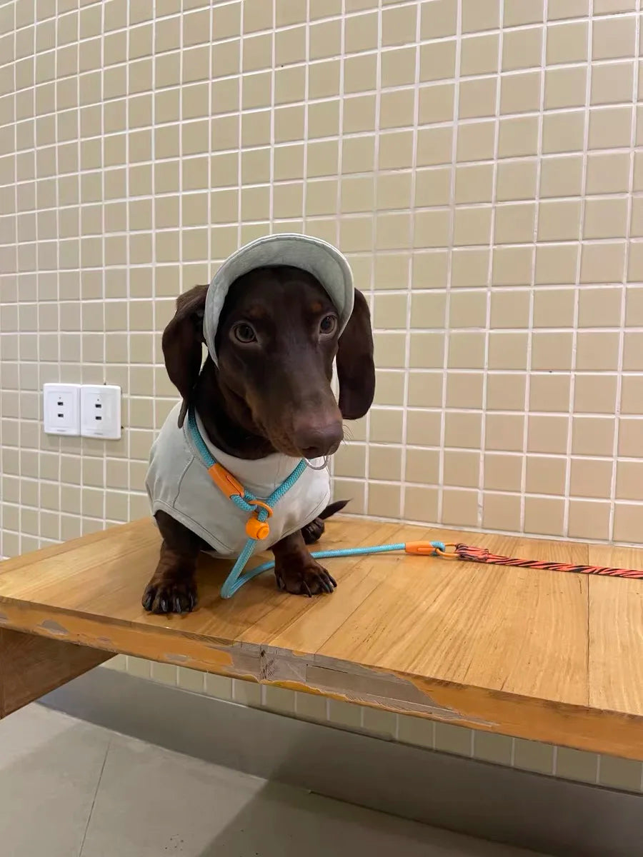 Summer T-Shirt for Dachshunds, Soft Grey Short Sleeve Vest for Wiener Dogs