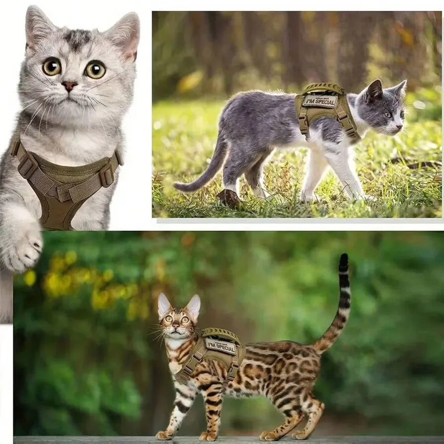 Waterproof Adjustable Outdoor Cat Vest with Chest Strap