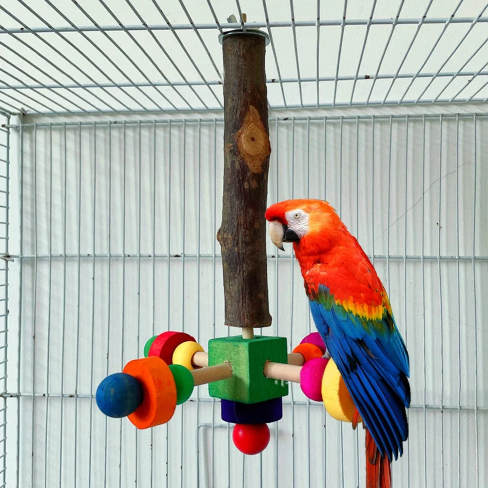 Natural Wooden Parrot Perch Toy with Rotating Balls