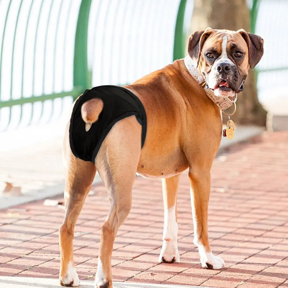 Adjustable Dog Sanitary Pants with 3 Diapers – for Female Dogs