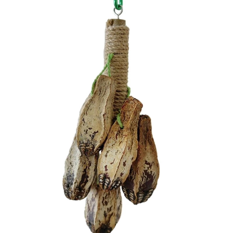 Colorful Hanging Parrot Molar Toy