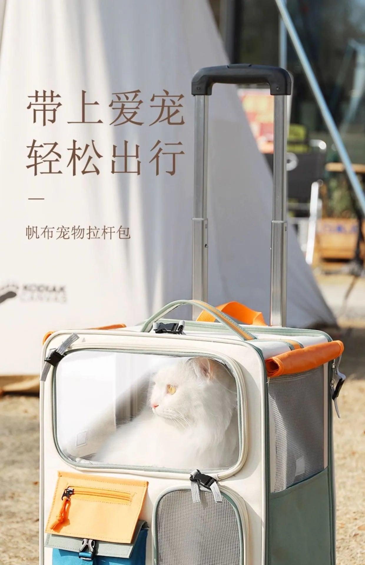 Extra Large Foldable Pet Trolley Case, Detachable Travel Carrier for Dogs & Cats