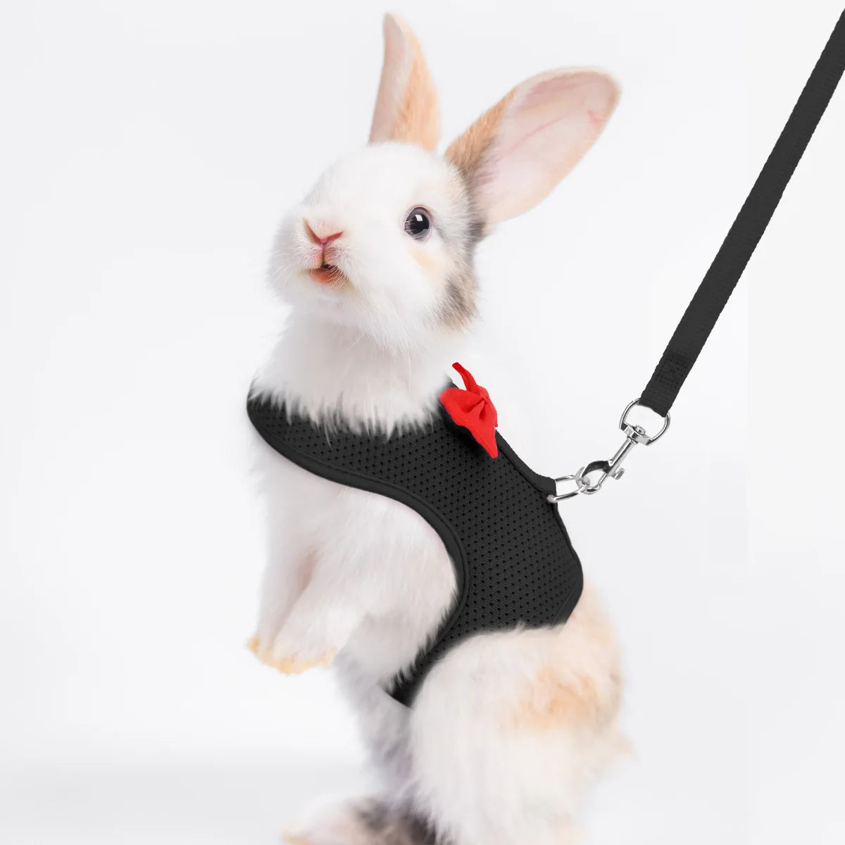 Soft Mesh Comfort Harness Vest for Rabbits & Small Pets