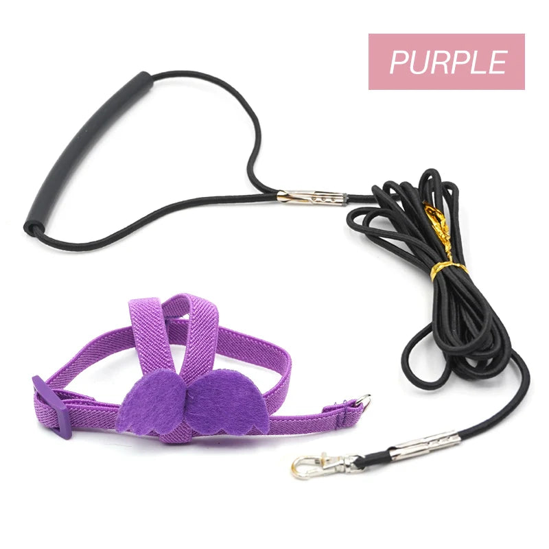Long Cable Bird Harness & Leash