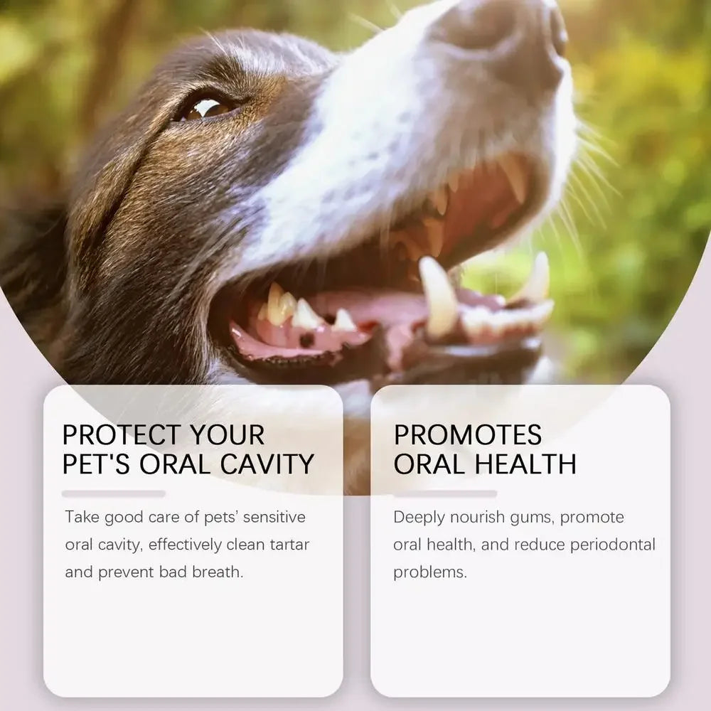 Pet Dental Pen – Dog & Cat Teeth Cleaning Tool