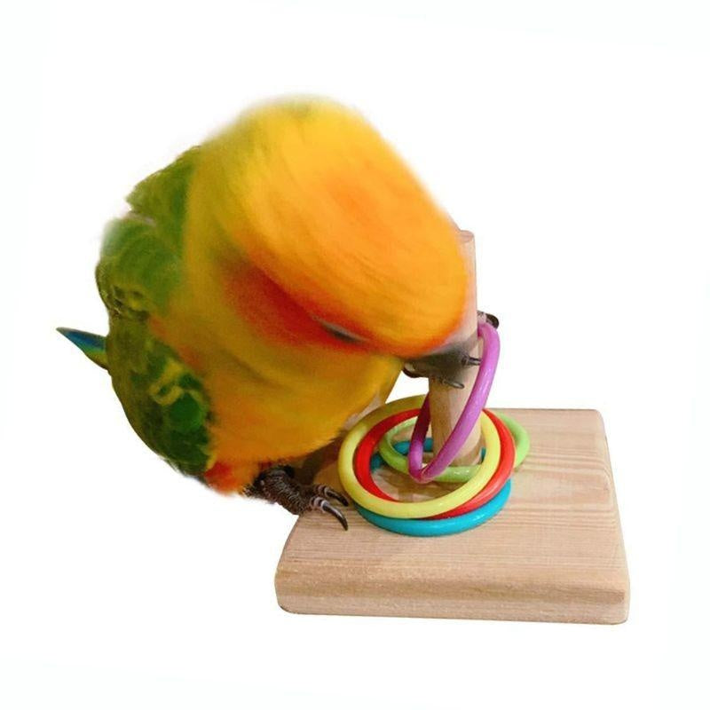 Bird Training Ring Toy — Interactive Educational Parrot Toy