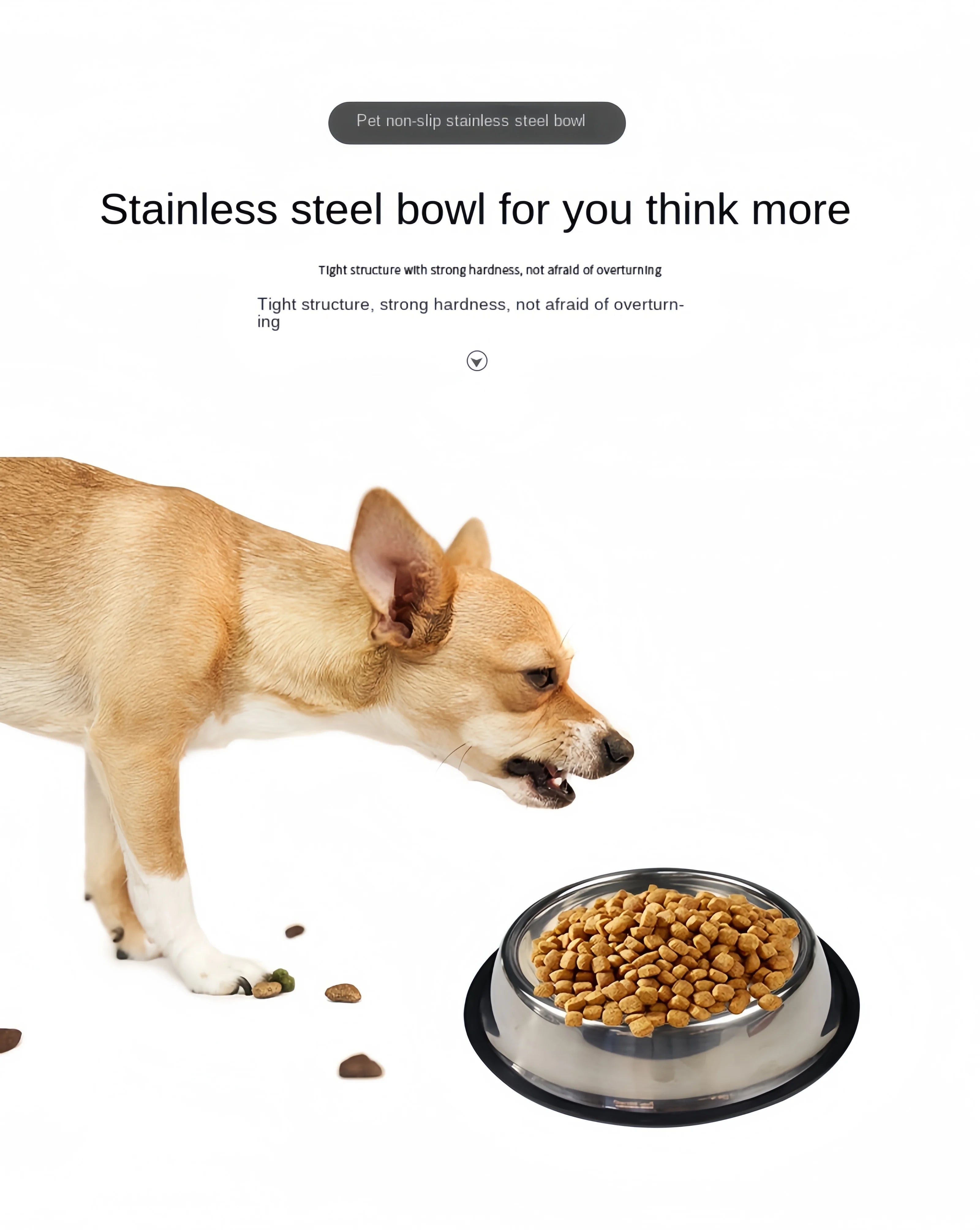 Stainless Steel Pet Feeding Bowl