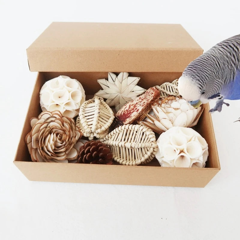 Natural Bird Foraging & Chewing Toy