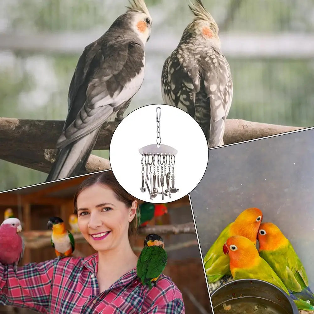 Stainless Steel Parrot Cage Toys