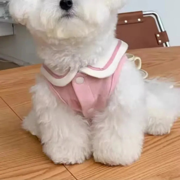 Striped Polo Shirt for Small & Medium Dogs, Puppy T-Shirt Vest