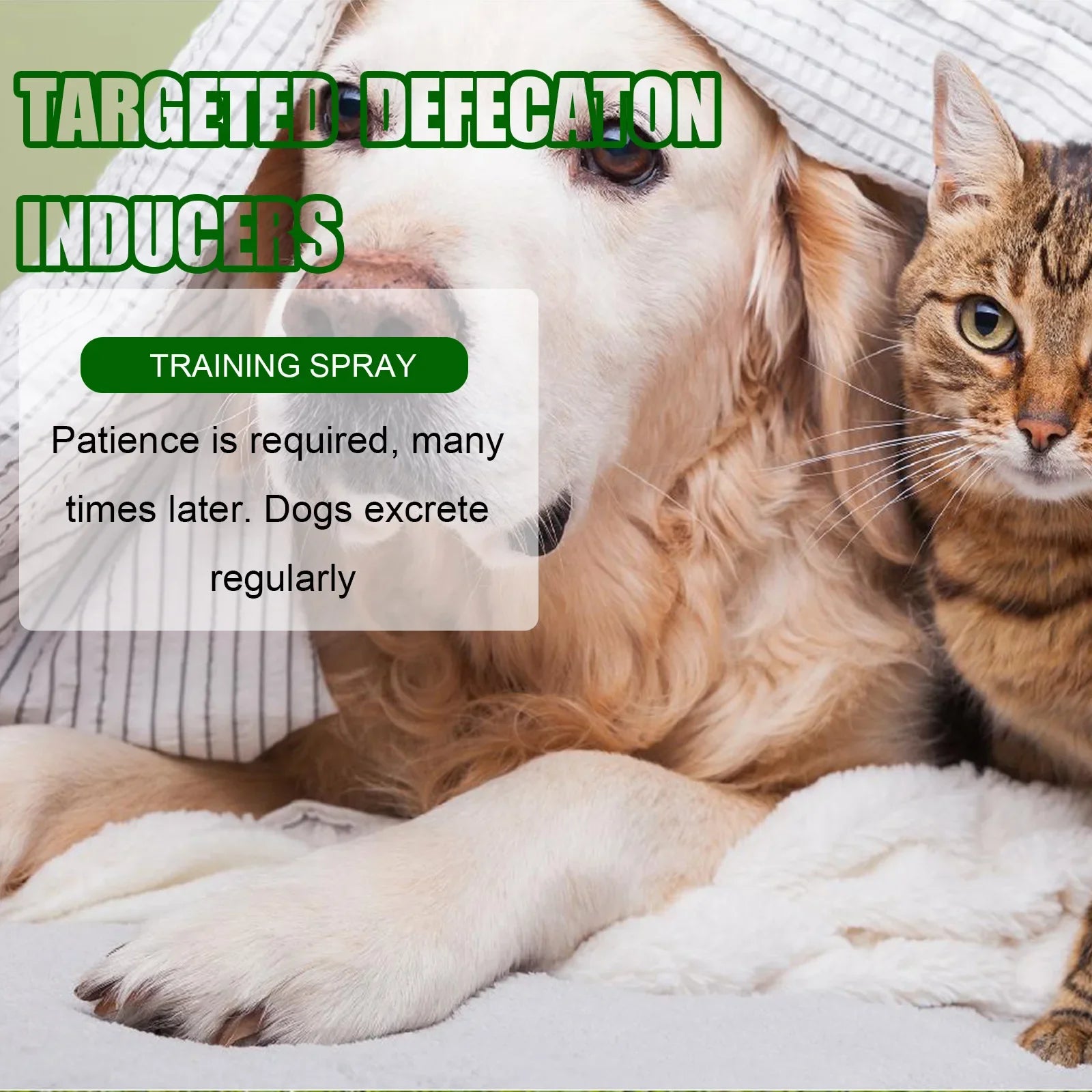 Pet Toilet Training Spray – Indoor Puppy & Cat Potty Training Aid